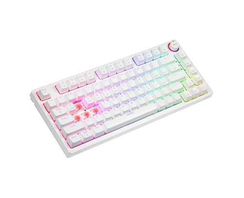 Klawiatura mechaniczna bezprzewodowa SAVIO PHENIX WHITE Gateron Red Pro ABS