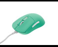 Mysz gamingowa Natec Fury TANTO T4 RGB 12000 DPI miętowa lekka Mysz gamingowa Natec Fury TANTO T4 RGB 12000 DPI miętowa lekka