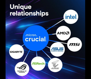Pamięć Crucial DDR5 Pro 16GB 6000MHz CL48 z radiatorem