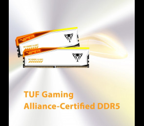 Pamięć DDR5 Patriot Viper Elite 5 RGB 32GB 6000MHz 2x16GB CL36