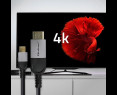 Qoltec Kabel Adapter USB-C na HDMI 4K 2m 60Hz wysoka jakość obrazu Qoltec Kabel Adapter USB-C na HDMI 4K 2m 60Hz wysoka jakość obrazu