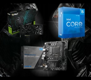 BSG Raptor V3 Intel Core i5 NVIDIA GeForce RTX 4060 16GB DDR4 1000GB SSD Windows 11 Pro