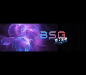 BSG Striker V16 Intel Core i7 NVIDIA GeForce GTX 1660 Super 32GB DDR4 1000GB SSD Windows 10 Pro
