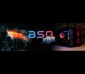 BSG Striker V8 AMD Ryzen 5 AMD Radeon RX 6600 16GB DDR4 256GB SSD Windows 11 Pro