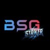 BSG Striker - Mid-Level